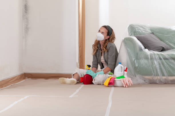 Reliable Commercial Mold Remediation contractor in Woodville, TX by 24 Hour Mold Removal